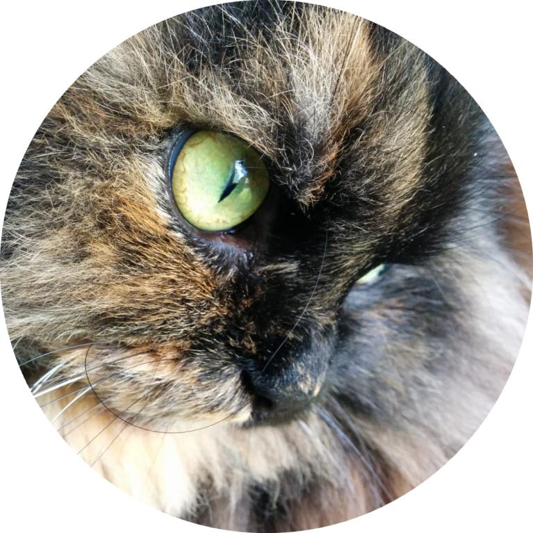 Minky